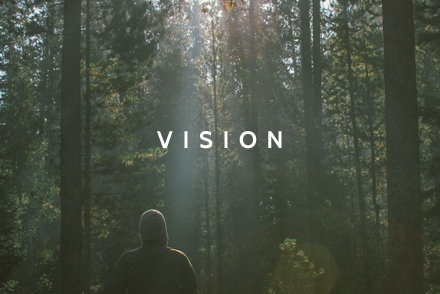 Vision